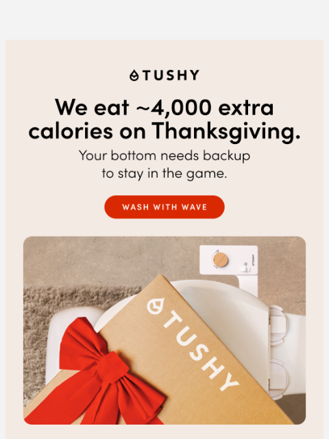 hellotushy newsletter: Essential feast aftercare 🍗