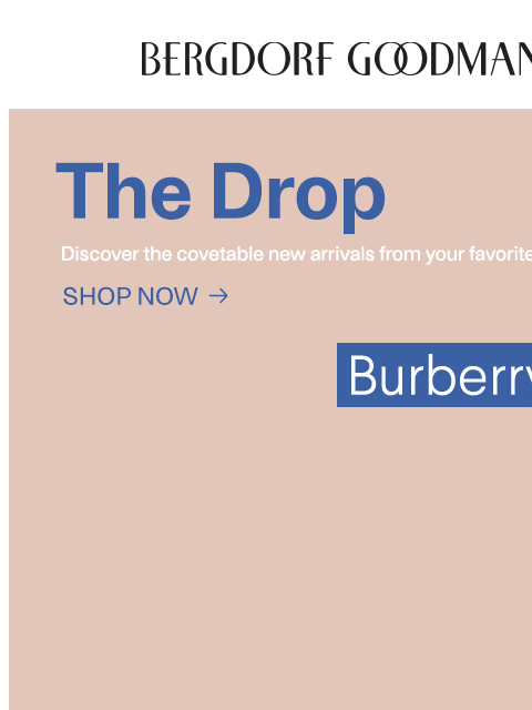 bergdorfgoodman newsletter: The Drop: New Arrivals Just Landed