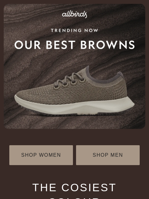 allbirds newsletter: Trend Alert: Brown Is Back
