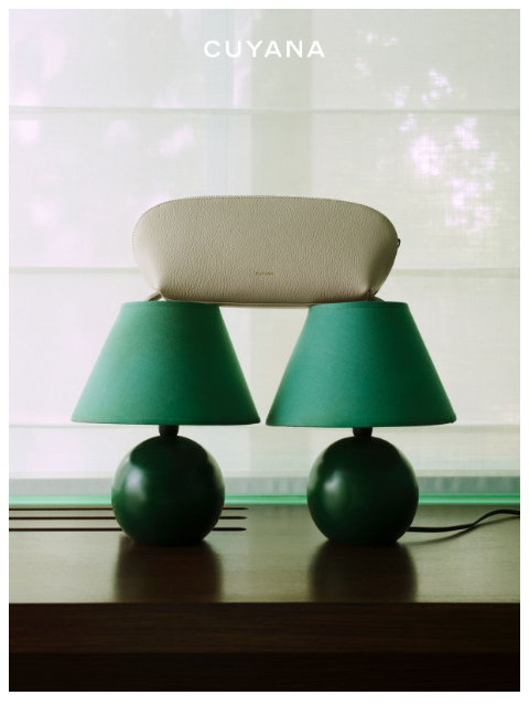 cuyana newsletter: New Beauty Case