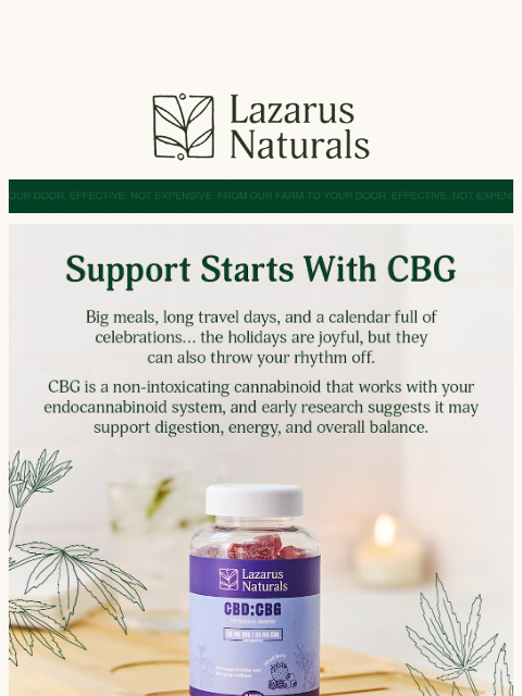 lazarusnaturals newsletter: 🧘‍♀️Comfort for the holiday season starts with CB...