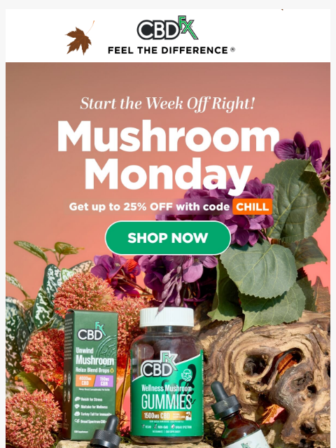 Get up to 25% OFF CBD Mushroom products & more with code... ͏ ͏ ͏ ͏ ͏ ͏ ͏ ͏ ͏ ͏ ͏ ͏ ͏ ͏ ͏ ͏ ͏ ͏ ͏ ͏ ͏ ͏ ͏ ͏ ͏ ͏ ͏ ͏ ͏ ͏ ͏ ͏ ͏ ͏ ͏ ͏ ͏ ͏ ͏ ͏ ͏ ͏ ͏ ͏ ͏ ͏ ͏ ͏ ͏ ͏ ͏ ͏ ͏ ͏ ͏ ͏ ͏ ͏ ͏ ͏ ͏ ͏ ͏ ͏ ͏ ͏ ͏ ͏ ͏