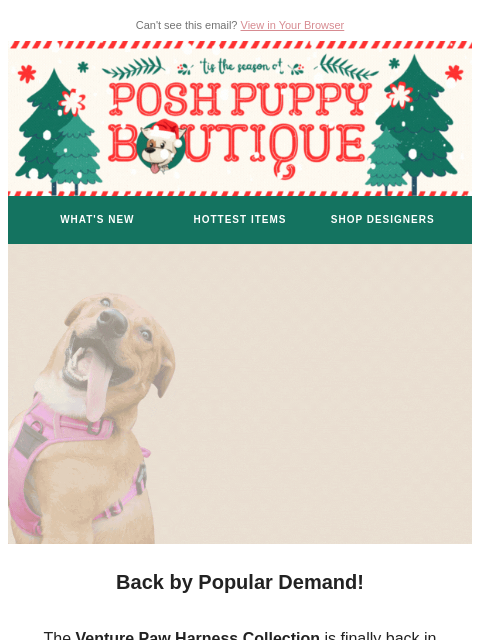 poshpuppyboutique newsletter: They’re Back! Venture Paw Harnesses Have Returned
