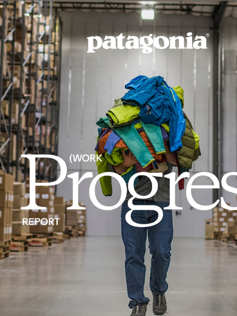 patagonia newsletter: Are we a paradox?
