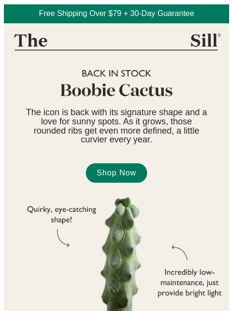 thesill newsletter: Guess Who's Back?