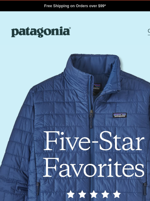 patagonia newsletter: Top-rated gifts that walk the talk