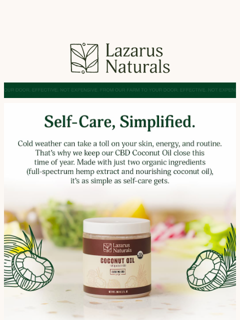 lazarusnaturals newsletter: 🥥Your cold-weather multitasker is here❄️