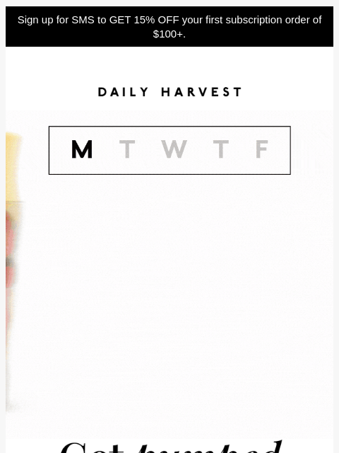 daily-harvest newsletter: Start a protein smoothie routine