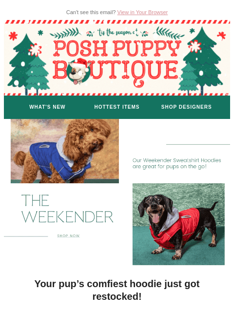 poshpuppyboutique newsletter: Cozy Up in Our Weekender Hoodies