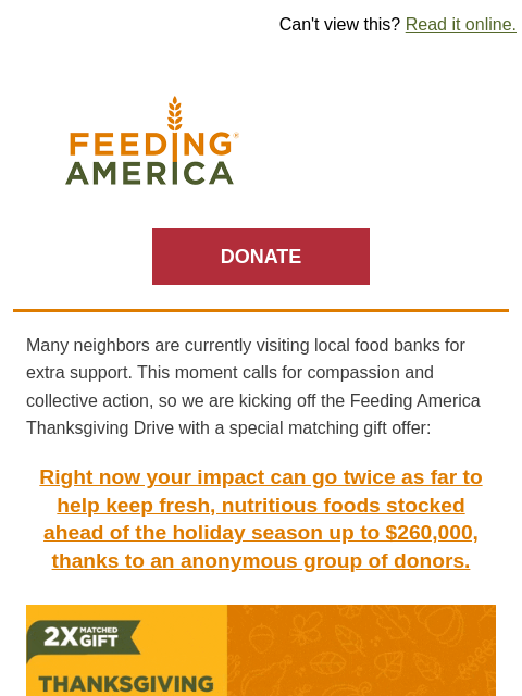 feedingamerica newsletter: Help provide 2x the Thanksgiving meals
