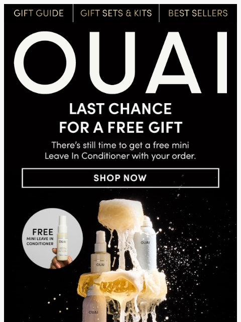 theouai newsletter: Last chance for a free mini Leave In Conditioner