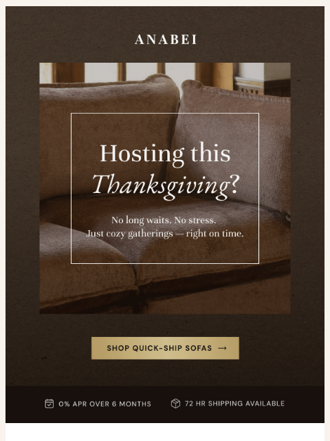 anabei newsletter: 🚚  Get it Before Thanksgiving