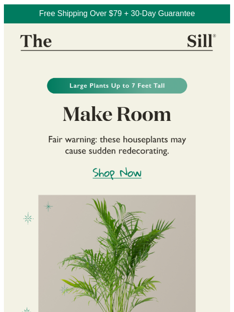 thesill newsletter: One plant = whole new room