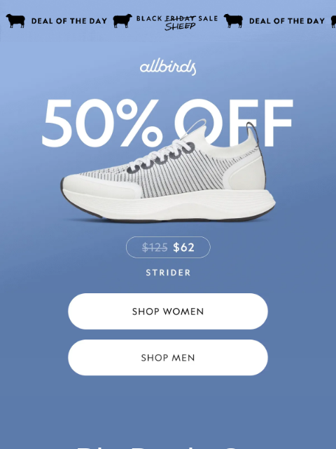 allbirds newsletter: Half Off Shoes You Love