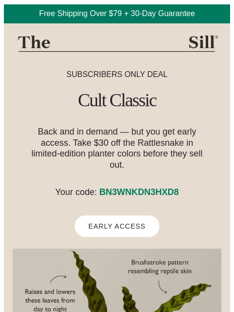 thesill newsletter: $30 Off Our #1 Calathea