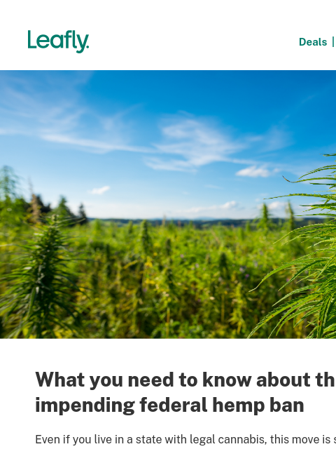 leafly newsletter: 🔎 What the federal hemp ban means for consumers