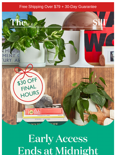 thesill newsletter: Hey  have you used your $30 yet?