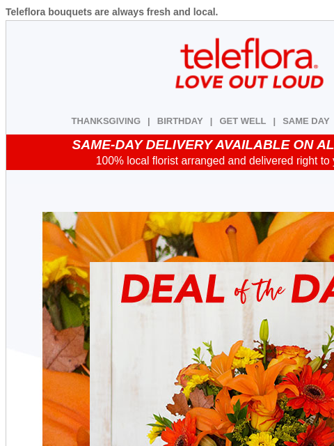 teleflora newsletter: Turkey Day Deal 🎉 Enjoy 25% Off
