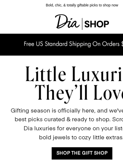 dia newsletter: New to the Gift Shop: Accessories 💎​