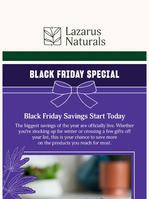 lazarusnaturals newsletter: 🎉Hey Friend, Black Friday Starts NOW: Up to 35% O...
