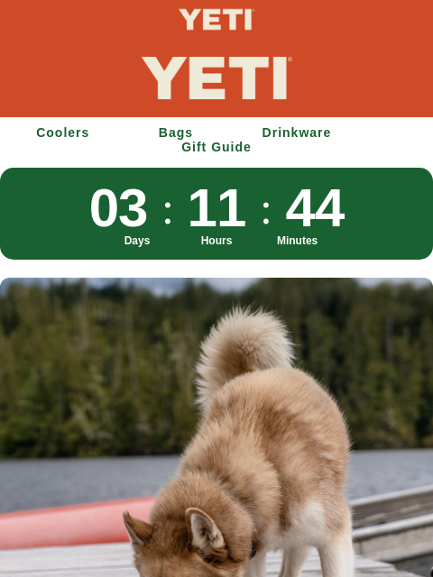 yeti newsletter: Last Chance For Free Customization