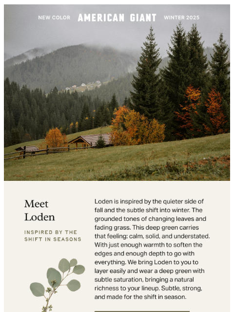 american-giant newsletter: Introducing Loden: Your New Favorite Color!