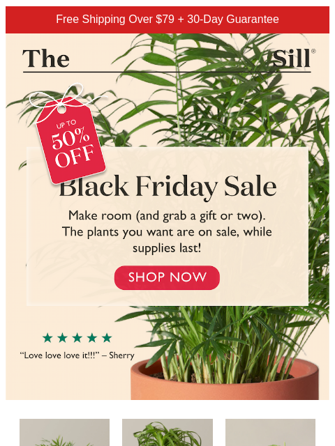 thesill newsletter: The plants you want are on sale ✨