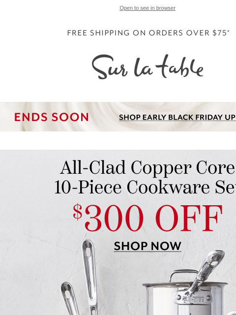 surlatable newsletter: Luxe for less? Enjoy up to $300 OFF All-Clad! 