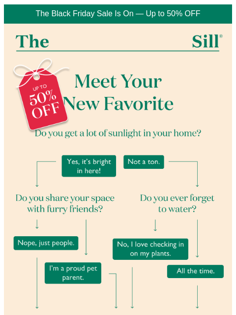 thesill newsletter: 👋 Hey, take this quiz to find your new fave