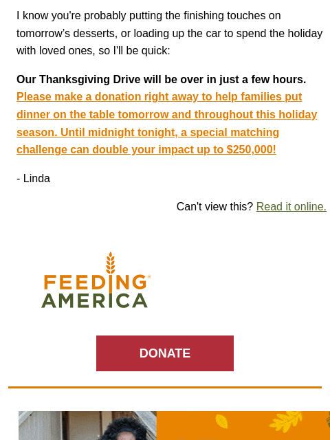 I know you're probably putting the finishing touches on tomorrow's desserts, or loading up the car to spend the holiday with loved ones, so I'll be quick: Our Thanksgiving Drive will be