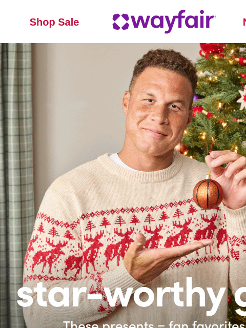 wayfair newsletter: STAR-WORTHY GIFTS🎁