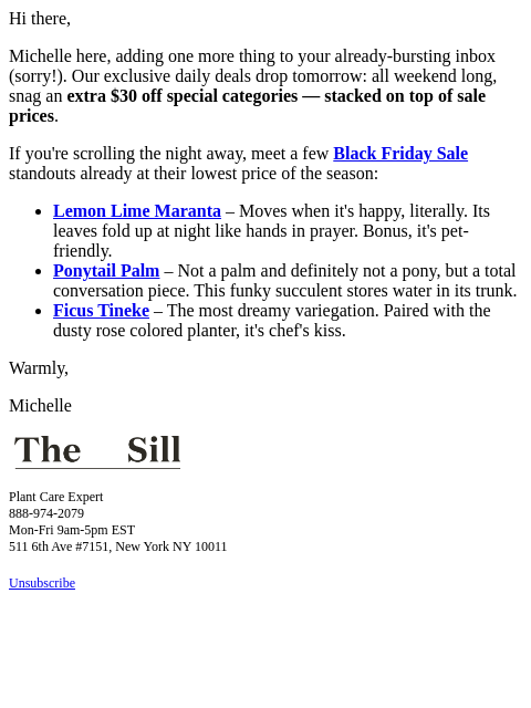 thesill newsletter: About our Black Friday deals