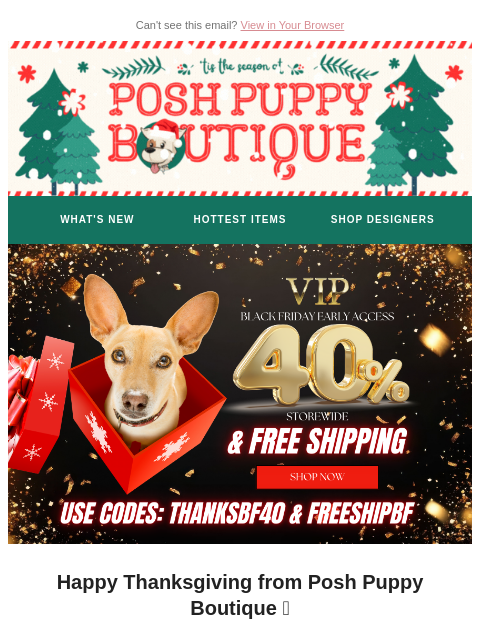 poshpuppyboutique newsletter: Happy Thanksgiving 🧡 VIP Sale Extended