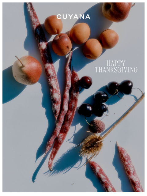 cuyana newsletter: Happy Thanksgiving