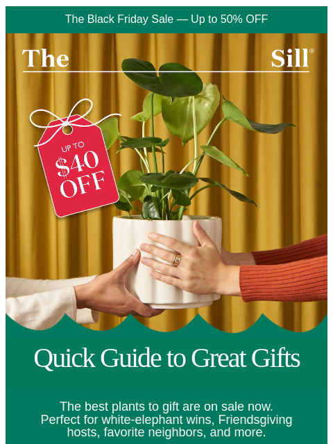 thesill newsletter: Up to $40 Off Holiday Gifts 🎁