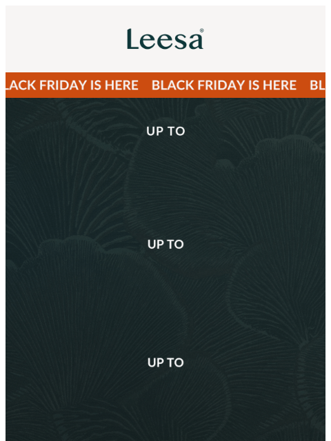 leesasleep newsletter: ☀️ Rise and shine! Our Black Friday Sale is on.