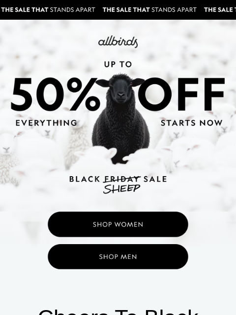 allbirds newsletter: NEW Black Friday Markdowns 🖤