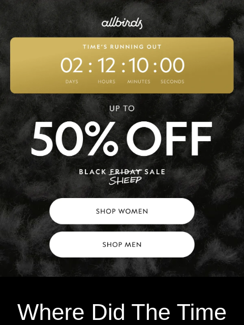 allbirds newsletter: Black Friday Is Flying By 🪽