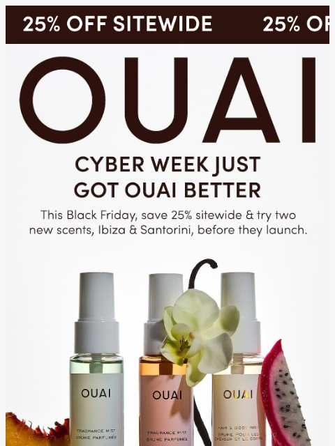 theouai newsletter: This Black Friday, get 25% off & be the first to t...