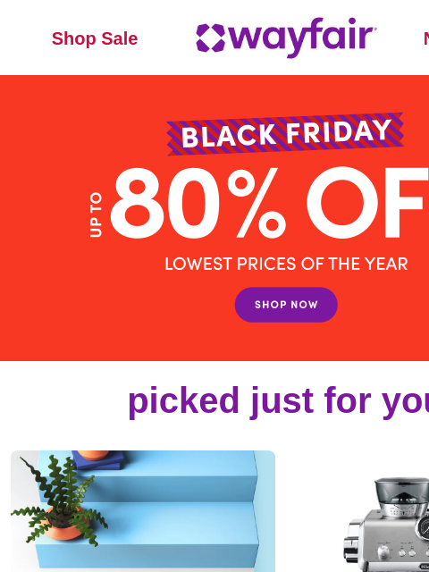 wayfair newsletter: DOORMATS 🚩 🚩 BLACK FRIDAY 🚩 UP TO 80% OFF 🚩 🚩...