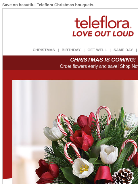teleflora newsletter: Don't Miss Black Friday Savings❣️ 25% Off All Bouq...