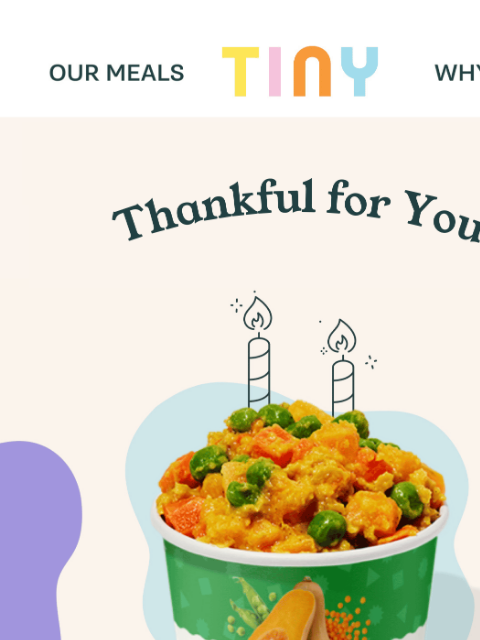 tinyorganics newsletter: A little holiday hello ✨