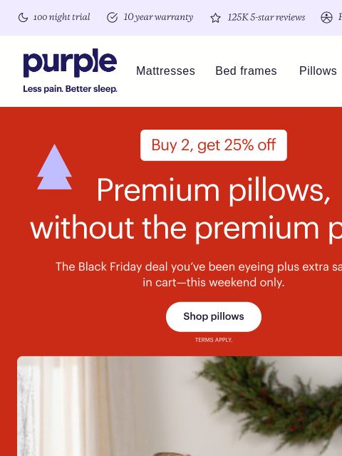 purple newsletter: 2 pillows for 25% off (+ MORE)