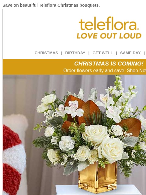 teleflora newsletter: Send Holiday Cheer🎄Save 20% Now