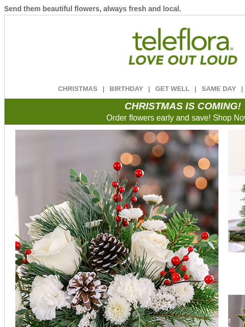 teleflora newsletter: Bring Black Friday Back 🖤 25% Off Holiday Flowers...