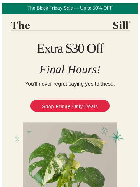 thesill newsletter: ⭐ Extra $30 off 4 top-rated plants ⭐