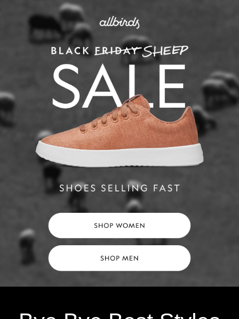 allbirds newsletter: Coveted Styles Are Selling Fast ‼️