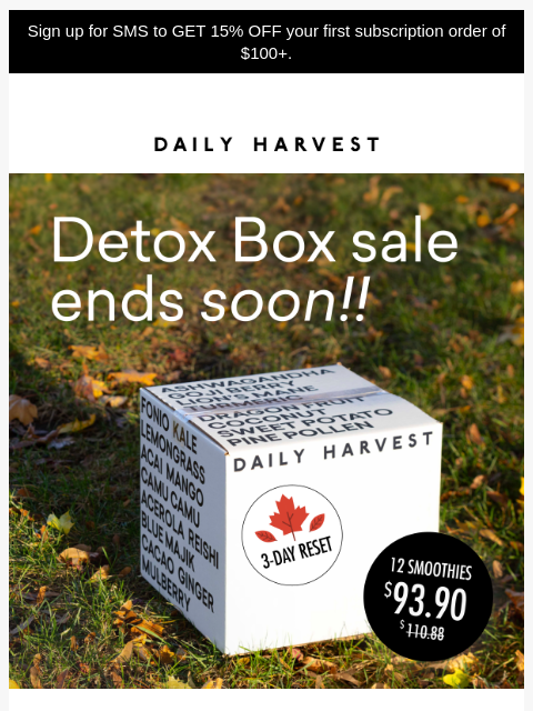 daily-harvest newsletter: Ends soon: our big Detox Box offer