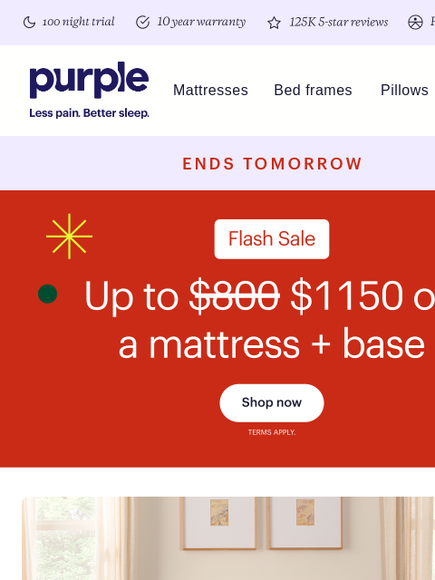 purple newsletter: Flash Sale ENDS TOMORROW