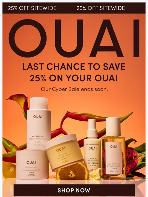theouai newsletter: Don’t let 25% off get a-OUAI!